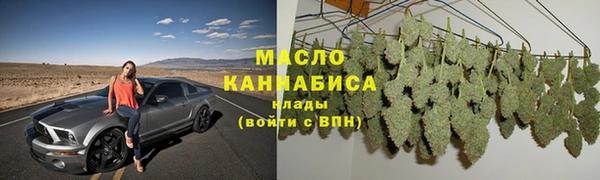 мяу мяу мука Гусь-Хрустальный