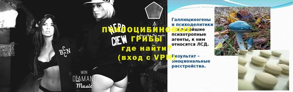 крисы Ветлуга