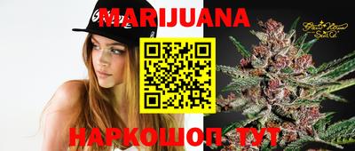сатива Канаш