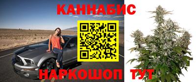 сатива Канаш