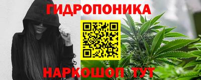 apvp Кандалакша