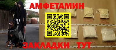 стаф Камышлов