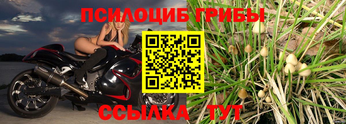 Галлюциногенные грибы GOLDEN TEACHER Кумертау